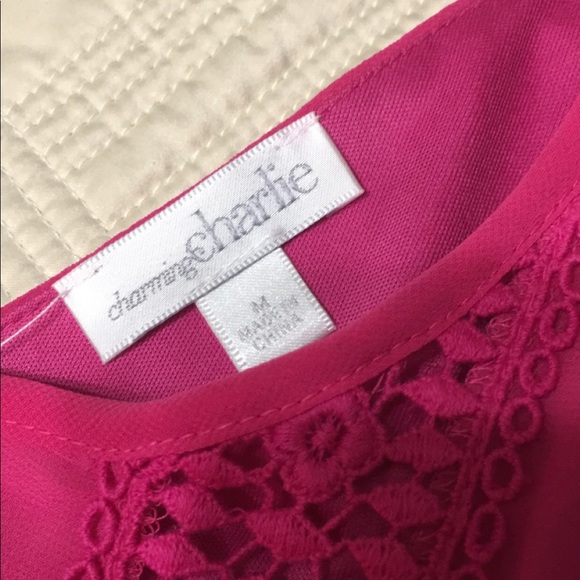 Charming Charlie Dress - Picture 3 of 5